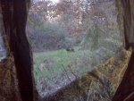 Turkey xover blind 10-6-12.jpg
