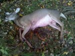 IMG_20121008_094139.jpg