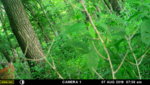 MFDC4787 - Copy.JPG