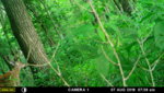 MFDC4790.JPG