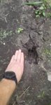 20190831_112258.jpg