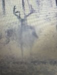 20190926_141831.jpg