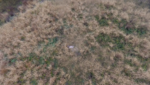 1572119051420.png