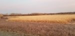 20191108_063816.jpg