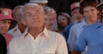 1574620090395.gif