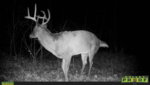 HUNT0005.JPG