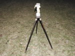 T4.JPG