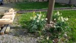 20190418_093312.jpg