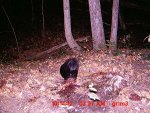 skunk gut pile.JPG