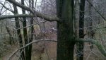 uploadfromtaptalk1351364130049.jpg