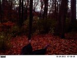 turkey time resized.jpg