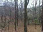 Secret Spot View.jpg