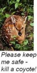 Keep me safe.JPG
