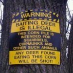 deer-baiting-corn-pile-castle-doctrine1-200x200.jpg