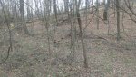 uploadfromtaptalk1351951279064.jpg