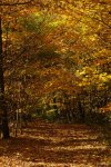 DSC_5898.jpg