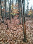 2012-10-28 09.07.02.jpg 2012-10-28 09.07.02.jpg