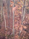 2012-11-09 08.51.13.jpg