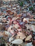 2012-11-09 09.13.12.jpg