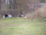 DSCF4384.jpg