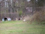 DSCF4385.jpg