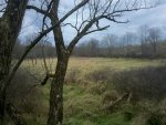 IMG_20121112_102125.jpg