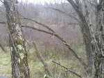 IMG_20121112_102156.jpg
