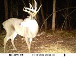 11 point 50.JPG