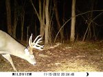11 point 40.JPG