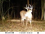 tall 8 10.JPG