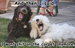 troll-dogs-wont-shit-anymore.jpg