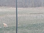 IMG_20200219_180849.jpg