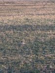IMG_20200221_171447.jpg