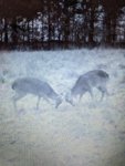 IMG_20200309_110114.jpg