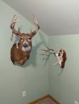 IMG_20200416_235208.jpg