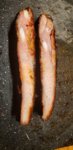 20200502_120926.jpg