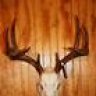 ohiobowhunter78