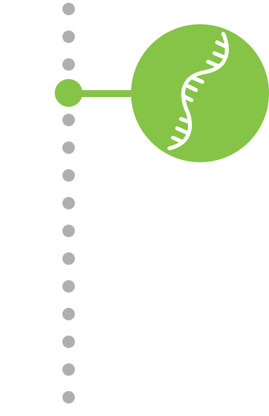 timeline-img-02-b.png