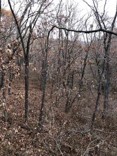 62e6372c092f829dbdc541237904258c.jpg