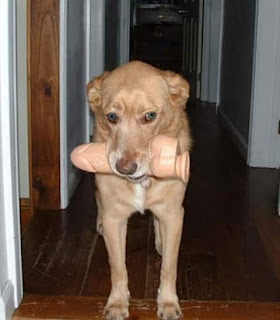 embarassing01vb7.jpg