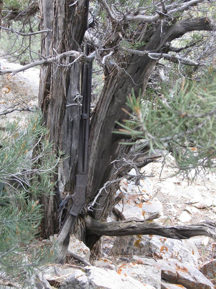 www.desertusa.com