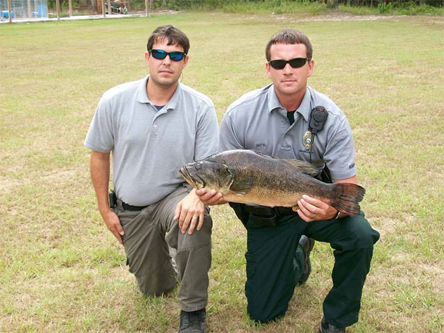 www.gameandfishmag.com