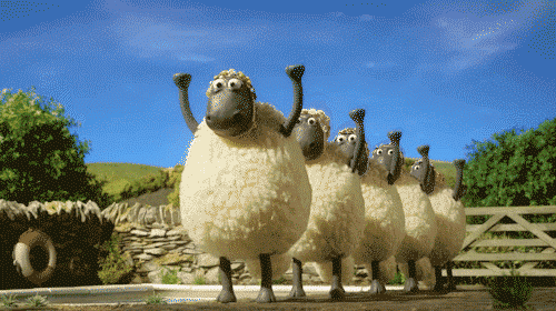 cb025f6f370a51f09ce11e1191d75437.gif