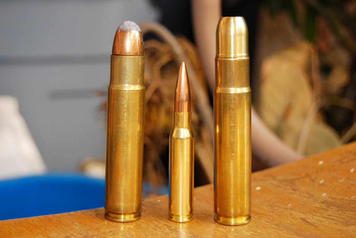 577_Tyrannosaur_and_308_Winchester_Compared.jpg