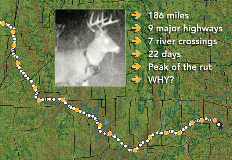 www.deerassociation.com