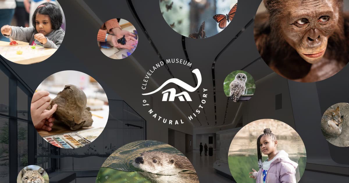 www.cmnh.org