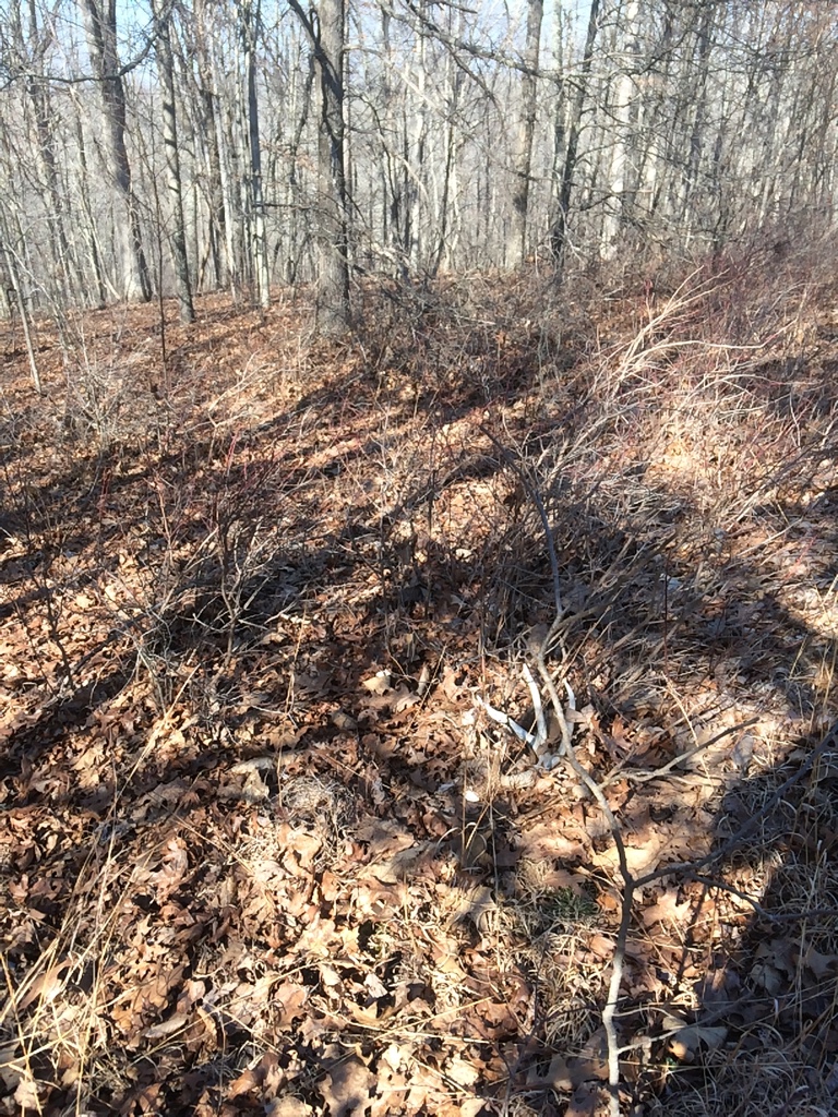 43ac83177e2d7d653f10bdad0ddfb847.jpg
