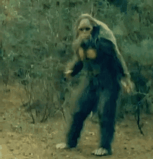069696f95b4e2e61604425662b739bab.gif