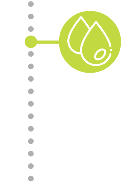 timeline-img-01-b.png