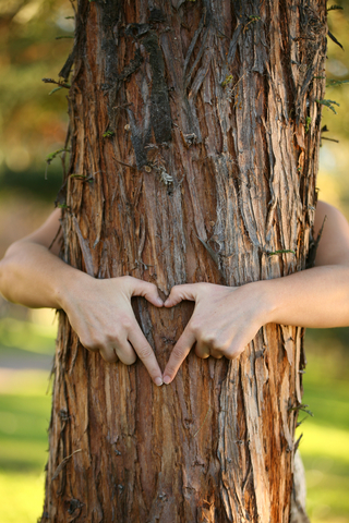 tree-hugger.jpg